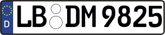 LB-DM9825