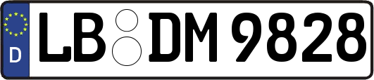 LB-DM9828