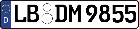 LB-DM9855