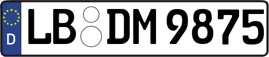 LB-DM9875
