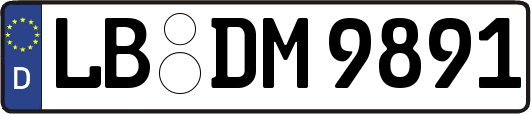 LB-DM9891
