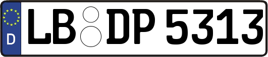 LB-DP5313