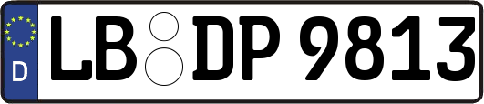 LB-DP9813