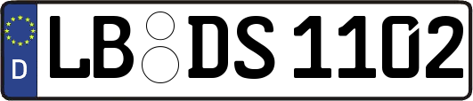 LB-DS1102