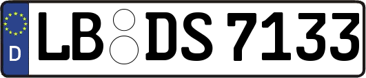 LB-DS7133