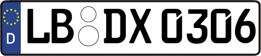 LB-DX0306