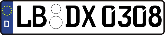 LB-DX0308