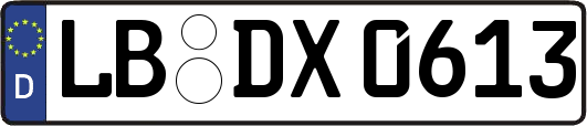 LB-DX0613