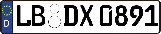 LB-DX0891