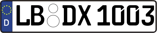 LB-DX1003
