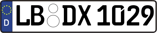 LB-DX1029