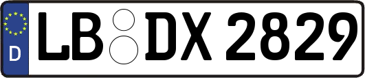LB-DX2829