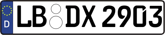 LB-DX2903