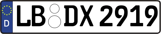 LB-DX2919