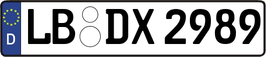 LB-DX2989