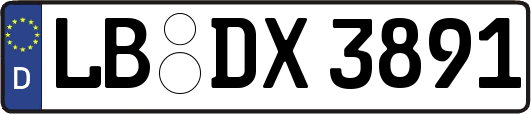 LB-DX3891