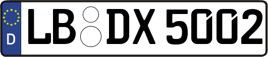 LB-DX5002