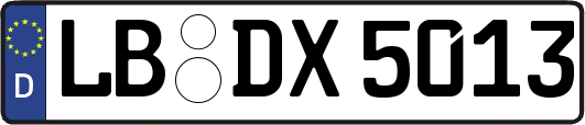 LB-DX5013