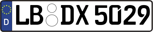 LB-DX5029