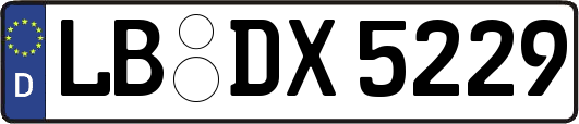 LB-DX5229