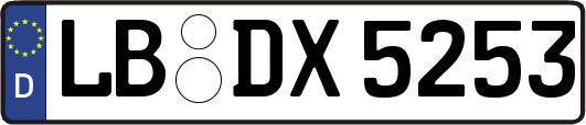 LB-DX5253