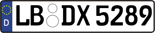 LB-DX5289