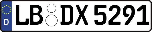 LB-DX5291