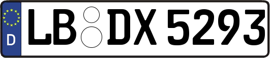 LB-DX5293