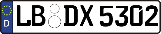 LB-DX5302