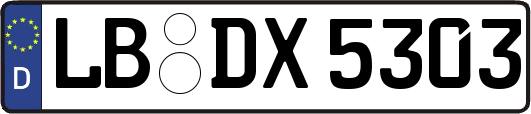 LB-DX5303