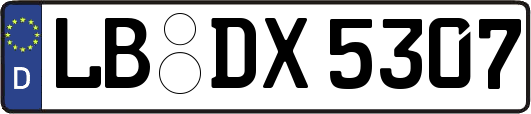 LB-DX5307