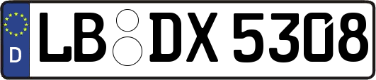 LB-DX5308