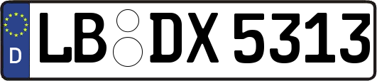 LB-DX5313