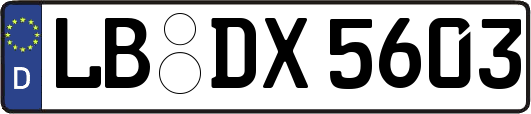 LB-DX5603