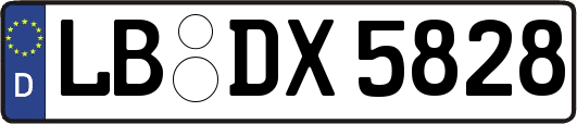 LB-DX5828