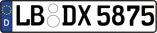 LB-DX5875