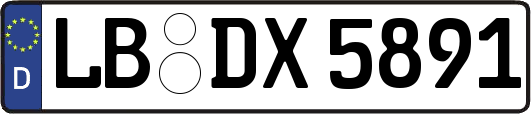LB-DX5891