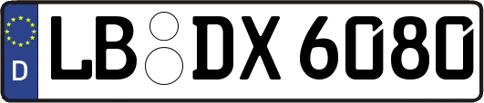 LB-DX6080