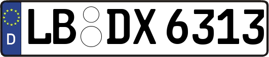LB-DX6313
