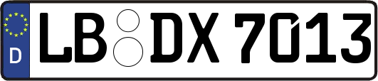 LB-DX7013