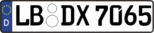 LB-DX7065