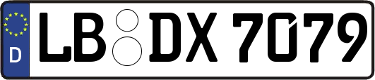 LB-DX7079