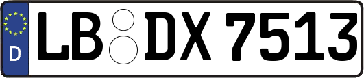 LB-DX7513