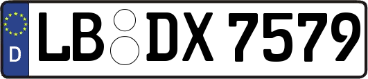 LB-DX7579