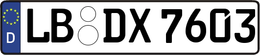 LB-DX7603