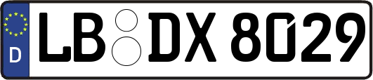 LB-DX8029