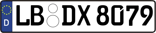 LB-DX8079