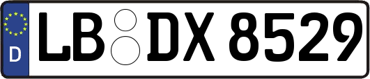 LB-DX8529