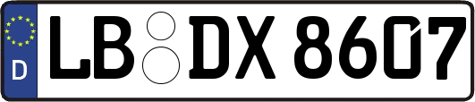 LB-DX8607