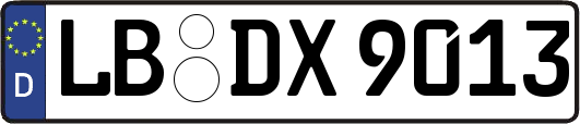 LB-DX9013